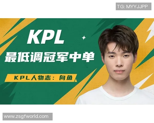 以向鱼王者为核心探讨团队协作与个人竞技在王者荣耀中的平衡之道 以向鱼王者为核心探讨团队协作与个人竞技在王者荣耀中的平衡之道