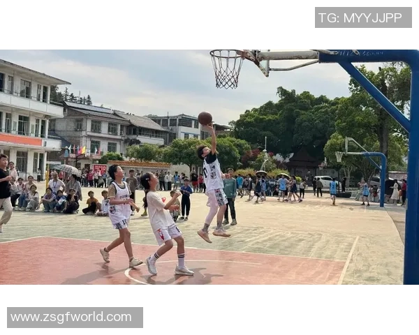 篮球风云再起 球场上的拼搏与梦想如何定义新时代的竞技精神